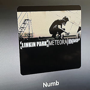 Meet your Posher, Yendi